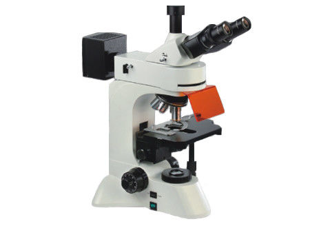 ποιότητας  Trinocular Led Fluorescent Microscope Light 40X 1000X UIS Optical Microscope Εργοστάσιο