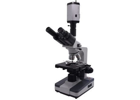 WF10X CCD 40X 0,65 ζωντανός ψηφιακός τηλεοπτικός βιολογικός μικροσκοπίων ανάλυσης αίματος