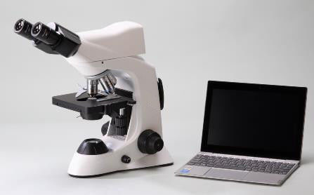 4 βιολογικό μικροσκόπιο εργαστηρίων θέσης 40X με το μηχανικό στάδιο