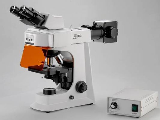 Άσπρο βιολογικό μικροσκόπιο εργαστηρίων Trinocular με το μηχανικό στάδιο