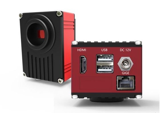Ψηφιακή κάμερα μικροσκοπίων HDMI 60FPS με τη διεπαφή δικτύων Gigabit