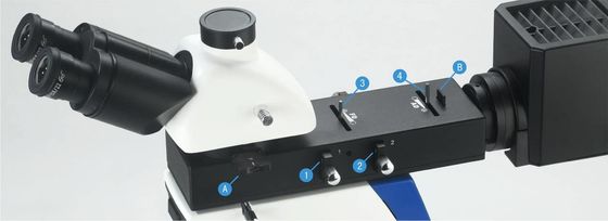 φωτεινός σκοτεινός τομέας Tinocular μικροσκοπίων 50X 1000X διοφθαλμικός οπτικός μεταλλουργικός