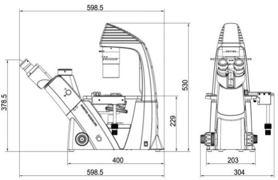 40X-400X οπτικό μικροσκόπιο WF10X 22mm για την παρατήρηση και την καλλιέργεια κυττάρων