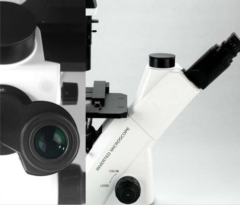 40X-400X οπτικό μικροσκόπιο WF10X 22mm για την παρατήρηση και την καλλιέργεια κυττάρων